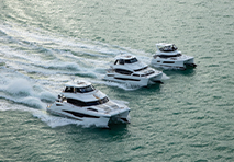 3 aquilas on the water