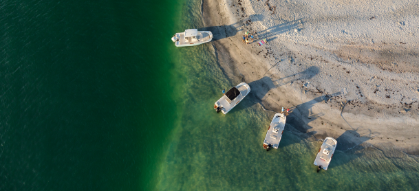Boston Whaler Montauk Family of boats on the water