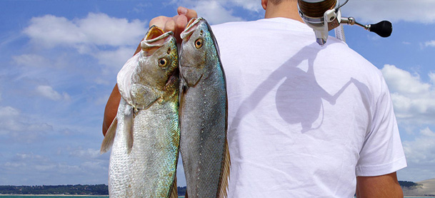 Back of man in white t-shirt with a fishing rod over one shoulder and two caught fish over another.