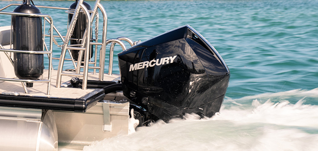 Mercury motor