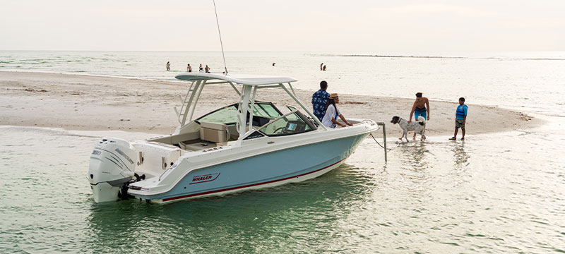 Boston Whaler boat in the water by sandbar with people and dog around