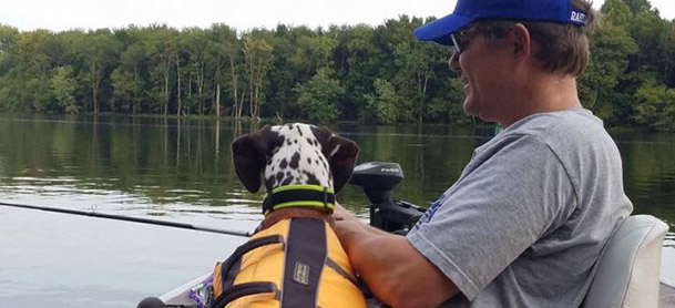 dalmatian wearing lifejacket with man fishing
