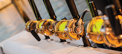 Golden fishing reels on rods lined up