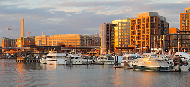 Boats in the Marina