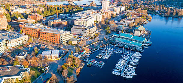 Boats in the Marina
