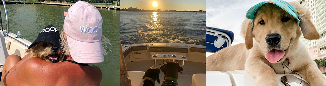 Three images of dogs on boats. On the left, a woman in a pink hat and a dog in a black hat that both say woof. In the middle, two dogs looking off into the sunset. On the right, a retriever puppy wearing a bright visor