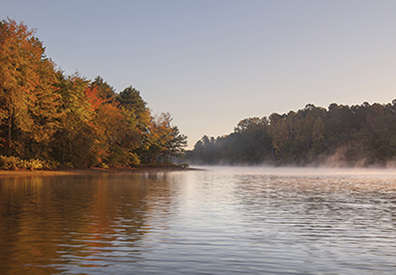 misty lake with multi colored trees on the shore