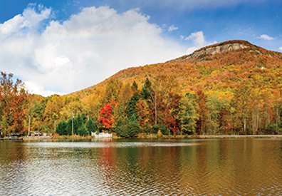 multicolored trees on the shore with a large grassy hill in the background