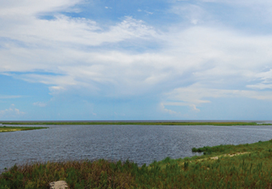 flat open lake with grass and reeds