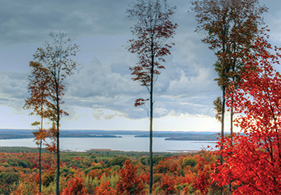 multicolored trees on top of a hill overlooking lake