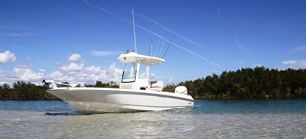 A Boston Whaler Dauntless Pro