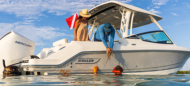 Some boaters harvesting shellfish and lobster on the water