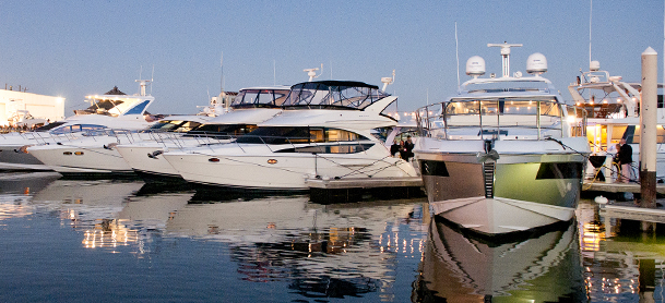 White yachts lined up in a marina