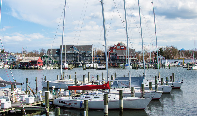 Sailboats docked in Herring Bay, Annapolis, MD