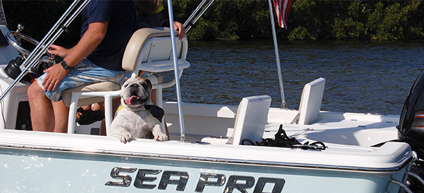 Excited dog on Sea Pro boat