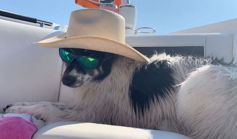 a small dog wearing sunglasses and a sunhat while sitting on a boat