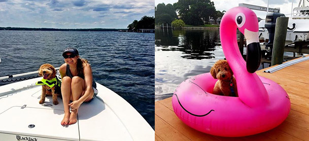 On left, a woman and a golden doodle sit on the bow of a boat with water behind them. On right, a golden doodle sits on a dock inside of an inflatable flamingo float.