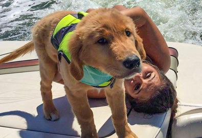 A dog on a boat wearing a lifejacket