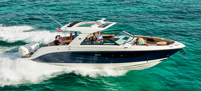 Sea Ray on the water