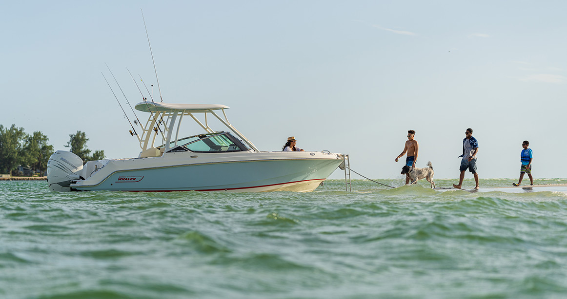 Boston Whaler boat parked by a shore