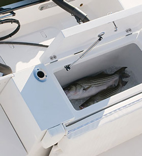 View of fish storage on a NauticStar boat