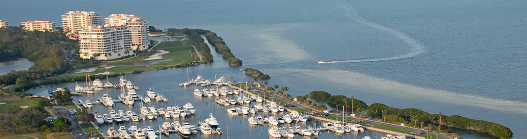 aerial view of a marina with multiple boats docked