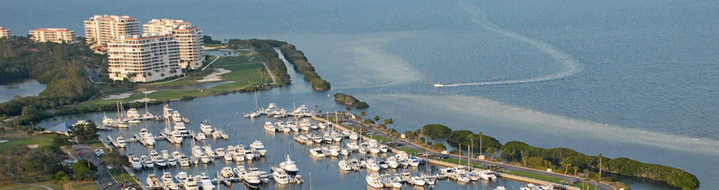 marina with boats docked