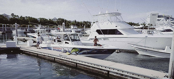 Multiple white boats docked
