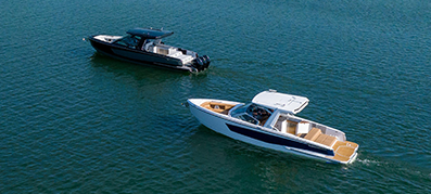 Aviara on the blue water