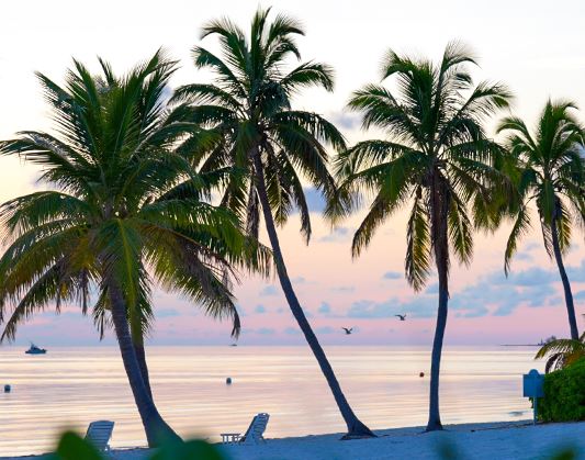 mmx 60009 getaways16event