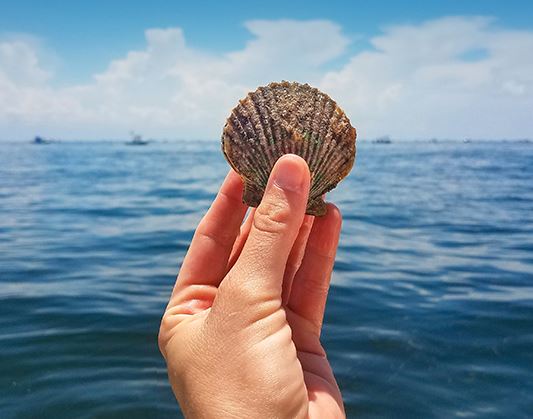 mmx 60009 getaways3event