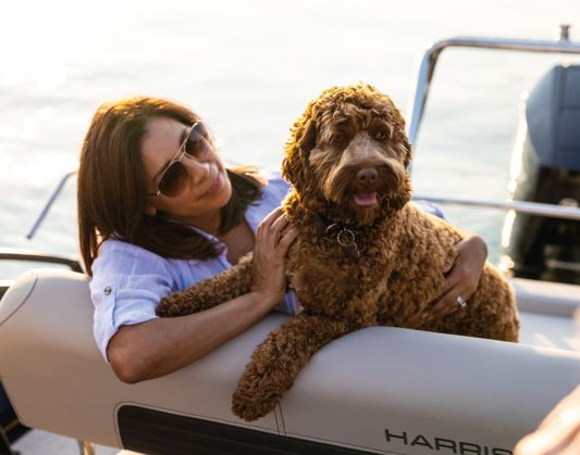 MarineMax Rogers' Boats & Barks