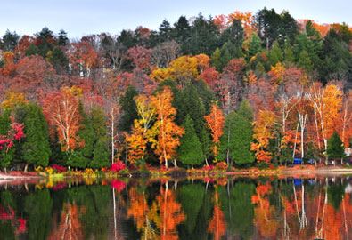 fall foliage tour  08312017 1