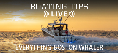 Everything Boston Whaler