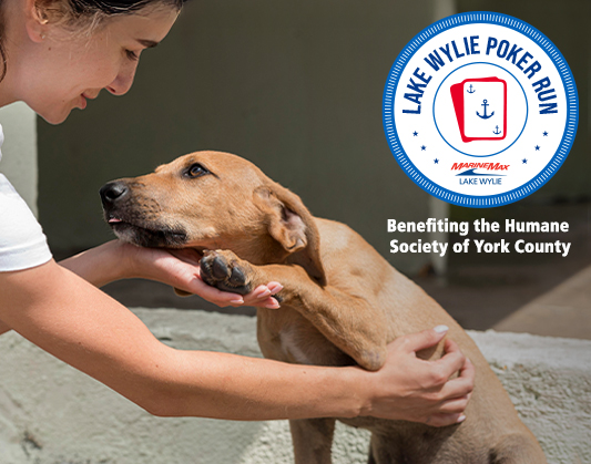 A woman gently holds a tan dog, both gazing at each other lovingly. The image features text for the "Lake Wylie Poker Run" benefiting the Humane Society of York County.