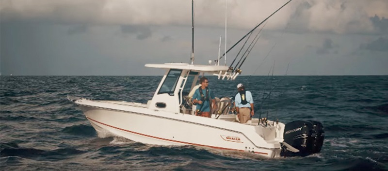 Boston Whaler boat on water and two men fishing