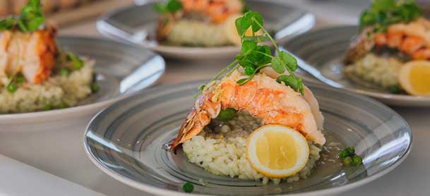 Beautiful shrimp dish over a bed of rice with a garnish