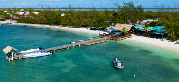 Potter's by the Sea top view with beach and Anegada foliage