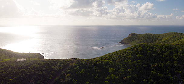 view of the ocean in the BVI