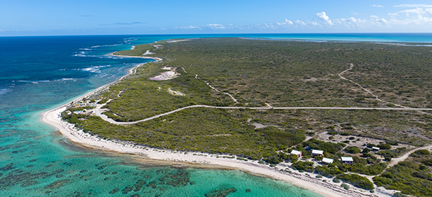 view of a beach in the BVI