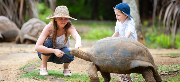 Fun activities in Mauritius. Family feeding giant turtle.