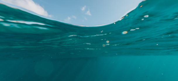 shot of the underwater with sky at the top
