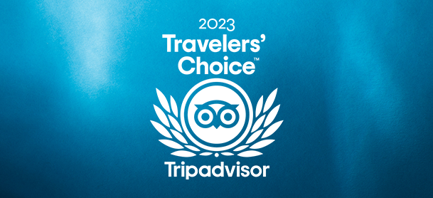 TripAdvisor logo with blue background