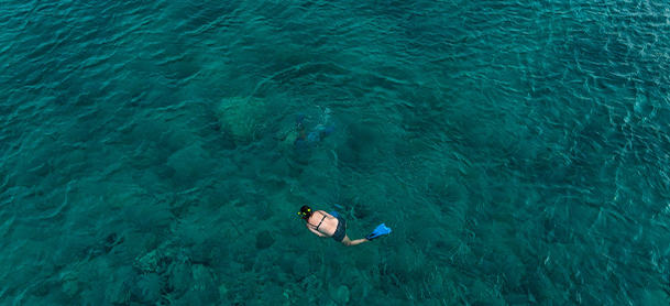 overview of a boat on the water