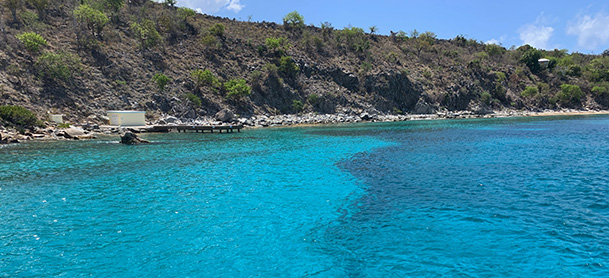 Beautiful blue water on the coastline of the British Virgin Islands, with shrubs and trees on the land