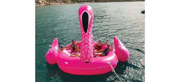 A pink flamingo float in the water