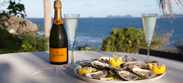 table setting with oysters and alcohol with water view