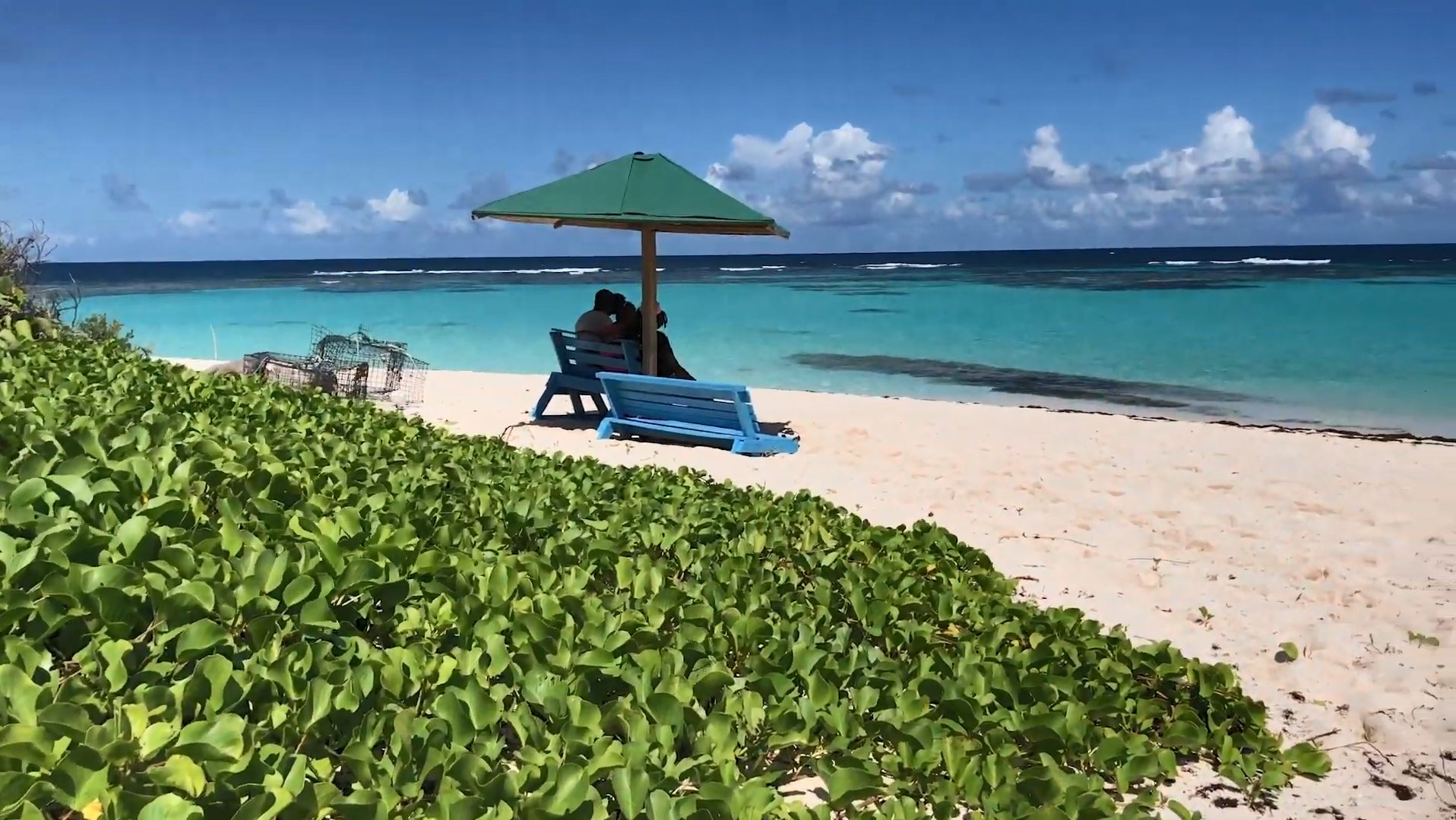 People under an umbrella on a beach