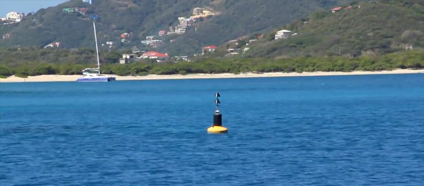 Cardinal marker in the water