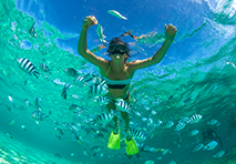 snorkeling in st lucia  grenadines